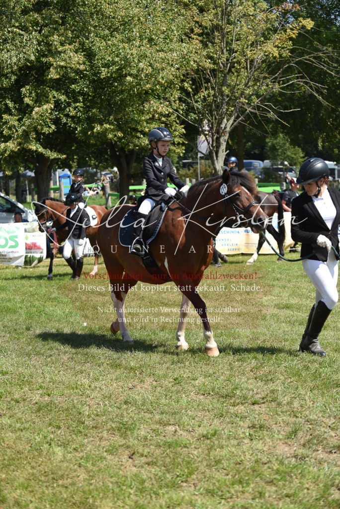 DSC_9782 | Pferde- und Turnierfotografie in Westsachsen. Pferdeportraits, Auftragszeichnungen und intuitive Kunst.