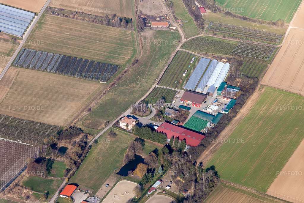 Luftbild: Obsthof Zirker in Herxheim bei Landau im Bundesland Rheinland-Pfalz in Deutschland. Foto: IMG_125755.jpg vom 02.03.2021 durch Werner Riehm/FLY-FOTO.de