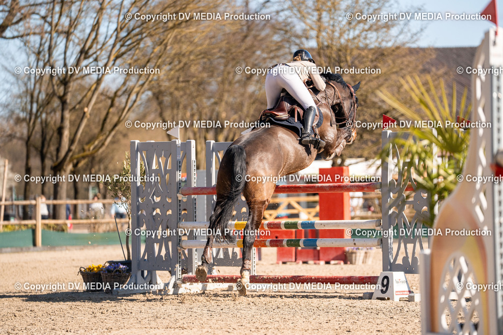 Kranichstein Tag 2-1021 | dv-media-shop - Realisiert mit Pictrs.com