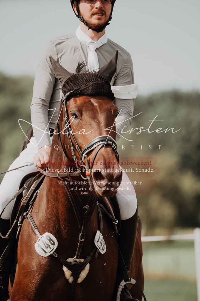 DSC_1011 | Pferde- und Turnierfotografie in Westsachsen. Pferdeportraits, Auftragszeichnungen und intuitive Kunst.