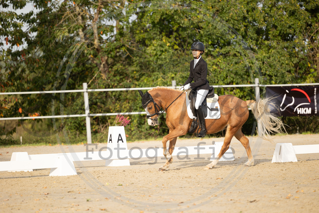 994A0757 | sabrinanicolaifotografie - Realisiert mit Pictrs.com