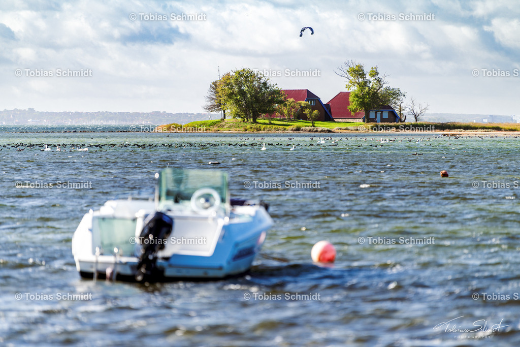 Fehmarn__DSC7084 | Fotoprodukte, Kalender und Wanddeko direkt vom Fotografen auf Fehmarn. Ob Wandbild auf Alu-Dibond, hinter Acrylglas oder auf Leinwand – hier können Sie Ihr Lieblingsbild kaufen. - Realisiert mit Pictrs.com