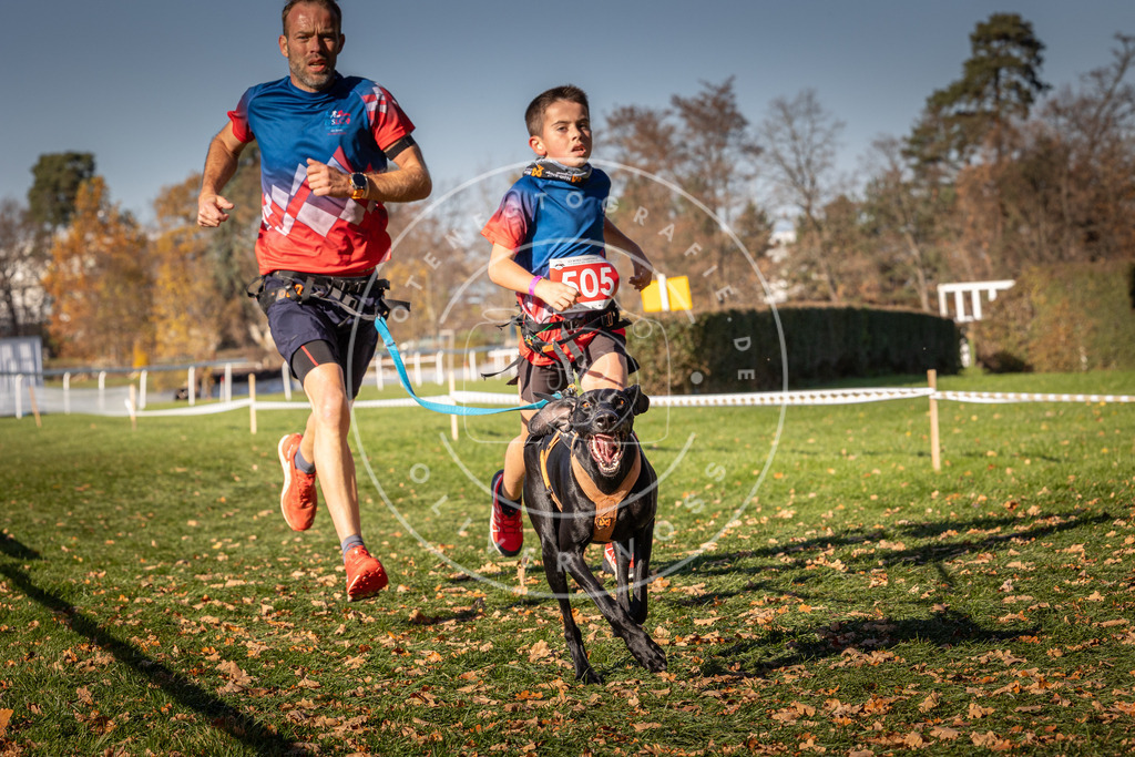 CaniXpix_0L8A6682 | Hundefotografie, Tierfotograf, Pfotenfotografie, Fotoshooting Hund, Hunde Portrait, Hundesport, Hundeportraits, Heideshooting, Hunde, Sportfotograf, Hundefotograf, Turnierhundsport, THS,  - Realisiert mit Pictrs.com