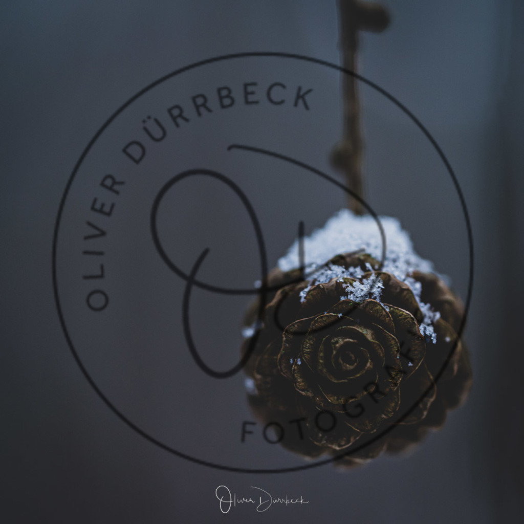 natur-pflanzen-19 | Shop für Kindergartenfotografie und andere Fotoprodukte von Oliver Dürrbeck Fotografie. - Realisiert mit Pictrs.com