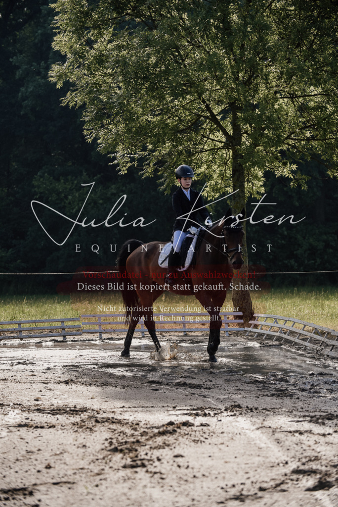 DSC_7903 | Pferde- und Turnierfotografie in Westsachsen. Pferdeportraits, Auftragszeichnungen und intuitive Kunst.