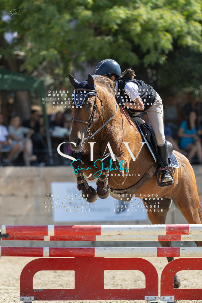 IMG_5457 | s-jay-photography - Realisiert mit Pictrs.com