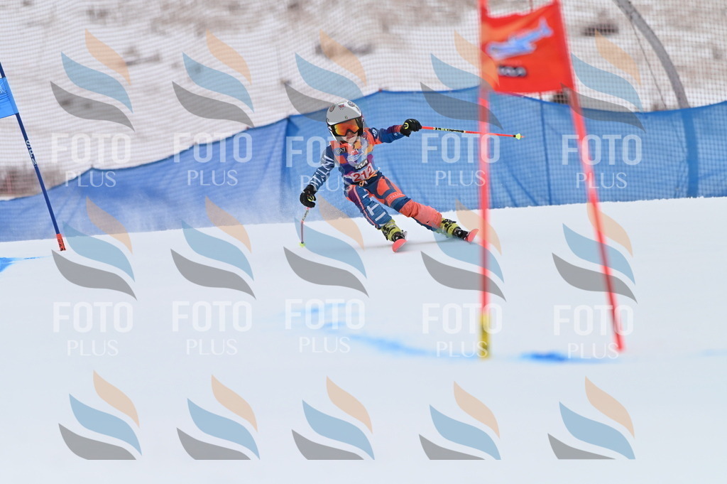 BGV_2519 | holidayphoto