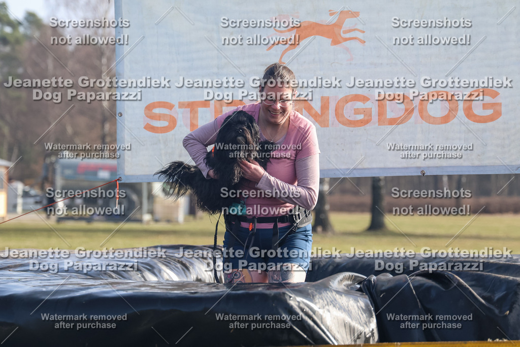 Dog Paparazzi - Strongdog North Mrz26-753 | Dog Paparazzi Jeanette Grottendiek Fotografie & Videografie - Realisiert mit Pictrs.com