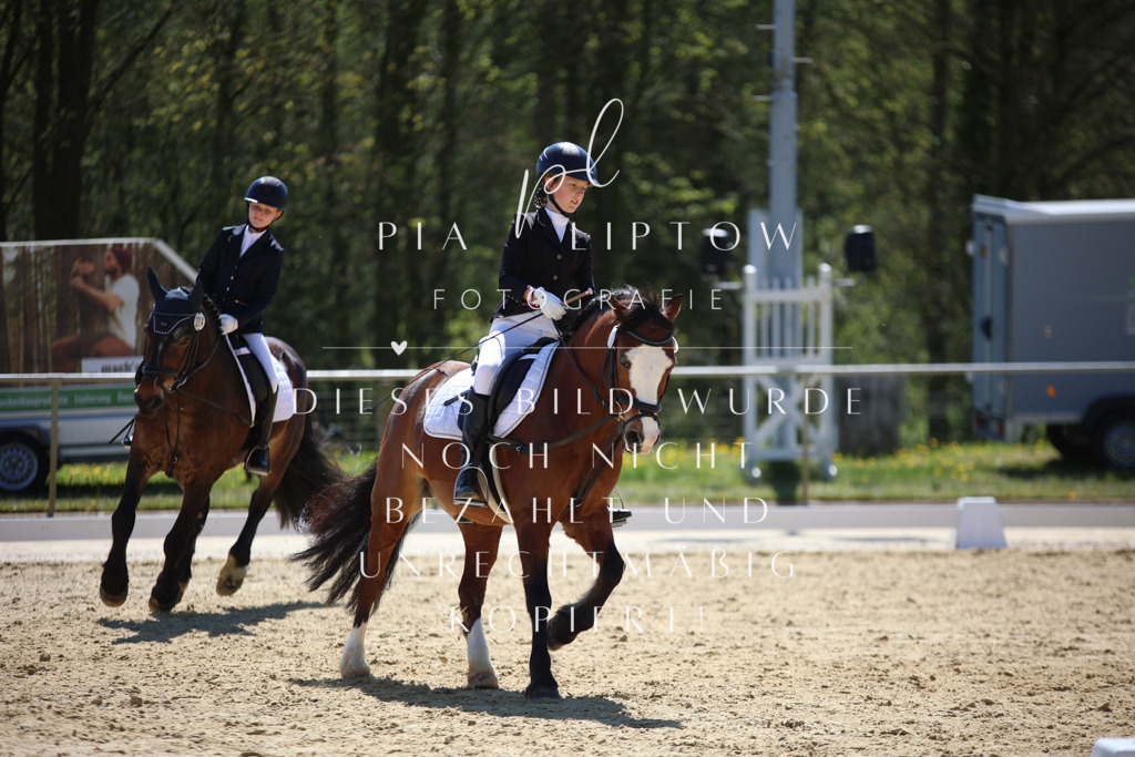 IMGT0533 | pl-fotografie