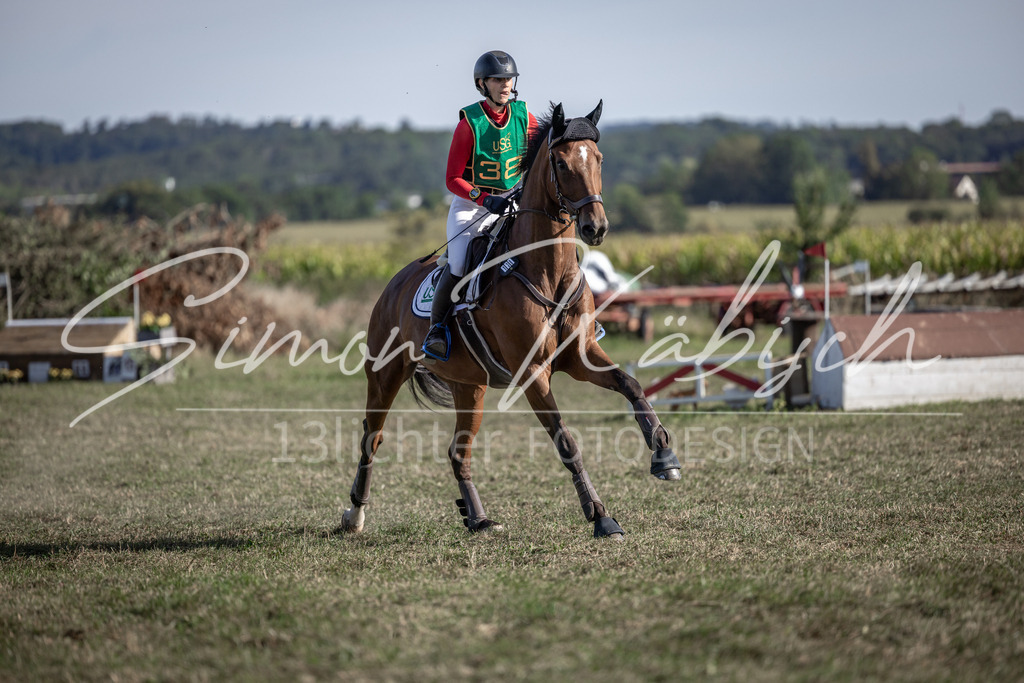 20250907-_3LI3885 | Tierfotografie Pferde, Hunde, Katzen, Haustiere.
Turnierfotografie Reitturniere, Reiten, Springreiten, Dressur in Hanau, dem Main-Kinzig-Kreis und dem Rhein-Main- Gebiet um Frankfurt