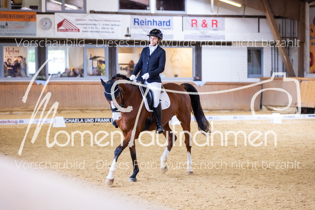 Sth-A-Dre-2St-063 | MomenTaufnahmen Pferdesportfotos