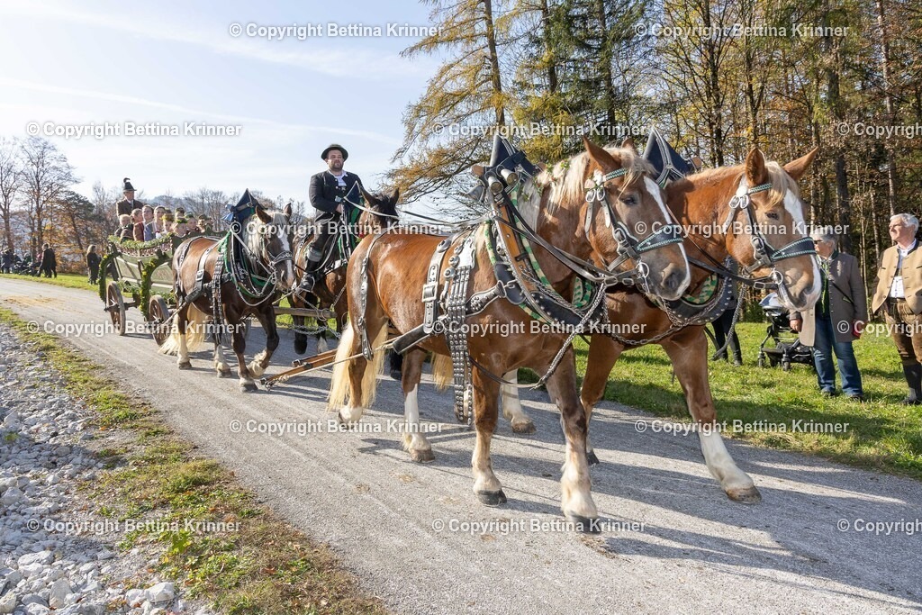 LBT24-1458 | foto-bettina-krinner - Realisiert mit Pictrs.com