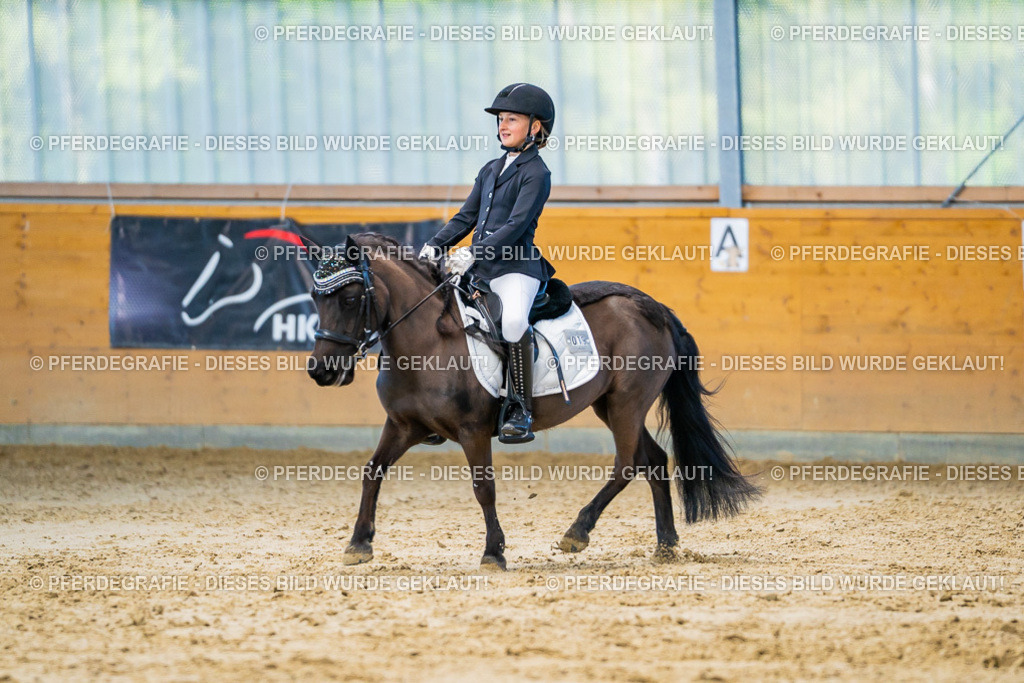 DSC06696 | Pferdegrafie