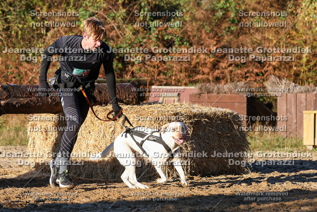 Dog Paparazzi - Strongdog 10-25-980 | Dog Paparazzi Jeanette Grottendiek Fotografie & Videografie - Realisiert mit Pictrs.com