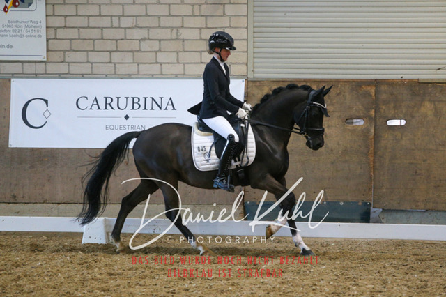 IMG_2806 | Turnierfotos kaufen im Webshop von Daniel Kuhl Photography – entdecke professionelle Reitsportfotos aus Turnieren & Events. Hochwertige Turnierbilder online bestellen & sichern. Jetzt Fotos von Reitsportturnieren kaufen!