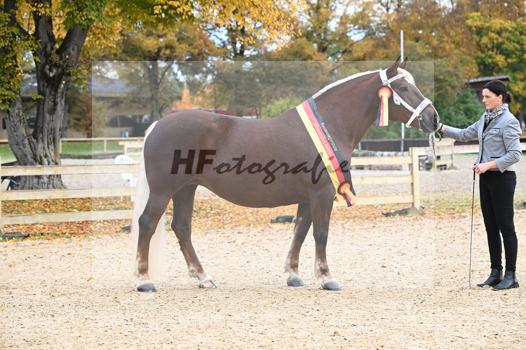 Kat-Nr. 85 Monarchin_Bachmair_53222991 | hf-fotografie - Realisiert mit Pictrs.com
