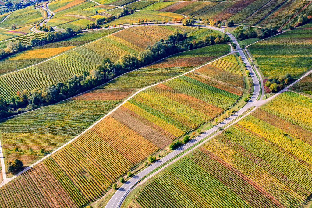 Luftbild: Weinberge am Fuchsgraben im Ortsteil Arzheim in Landau im Bundesland Rheinland-Pfalz in Deutschland. Foto: IMG_22347.jpg vom 15.10.2009 durch Werner Riehm/FLY-FOTO.de