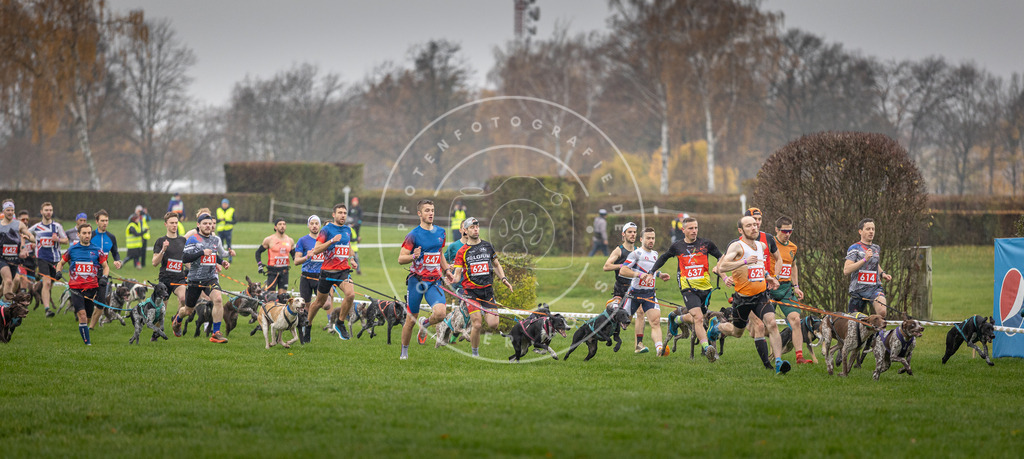 CaniXpix_DV3A9436 | Hundefotografie, Tierfotograf, Pfotenfotografie, Fotoshooting Hund, Hunde Portrait, Hundesport, Hundeportraits, Heideshooting, Hunde, Sportfotograf, Hundefotograf, Turnierhundsport, THS,  - Realisiert mit Pictrs.com
