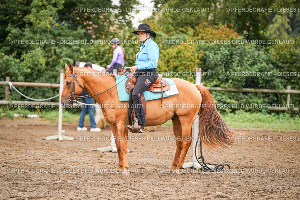 DSC03377 | Pferdegrafie