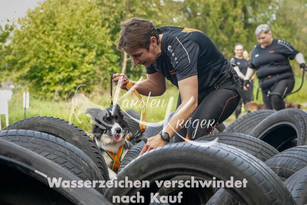 1503_ZZ90876-Bearbeitet | kk-dogfotos