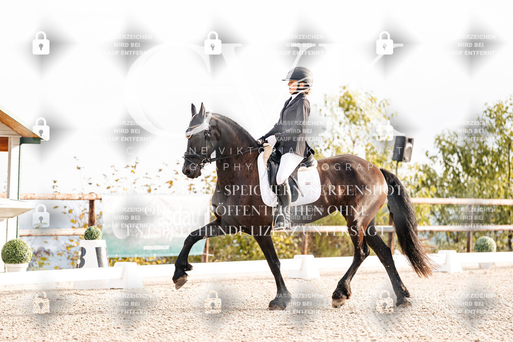 CK900315 | Turnierfotografie Pferdefotografie Trier Rheinland-Pfalz Pferdesport Reitsport Tierfotografie Sportfotografie Pferdevideo Pferdevideografie Equestrianvideography equestrianphotography  - Realisiert mit Pictrs.com