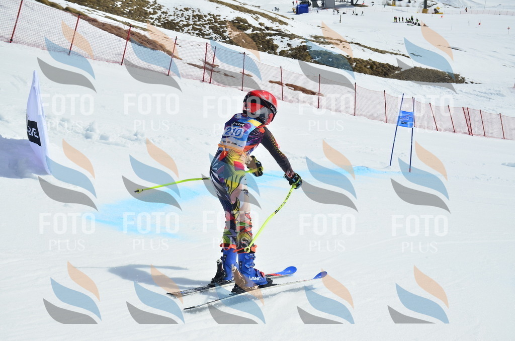 _ELE1460 | holidayphoto