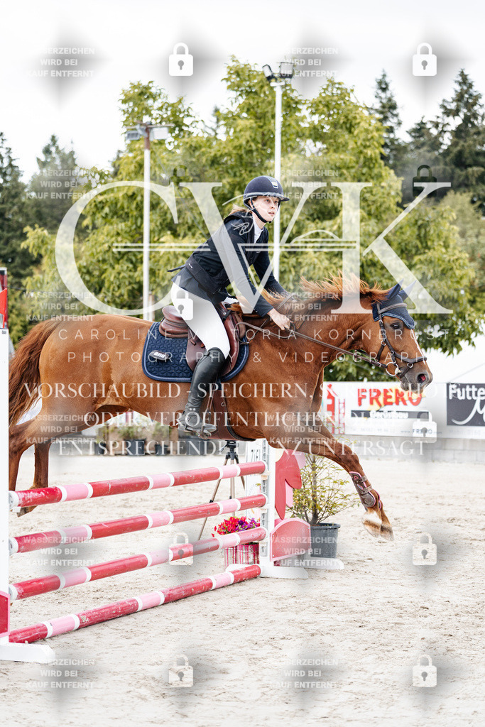CK902672 | Turnierfotografie Pferdefotografie Trier Rheinland-Pfalz Pferdesport Reitsport Tierfotografie Sportfotografie Pferdevideo Pferdevideografie Equestrianvideography equestrianphotography  - Realisiert mit Pictrs.com