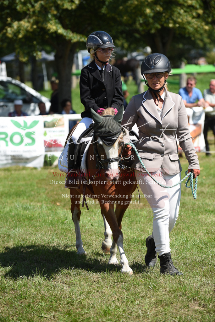 DSC_9685 | Pferde- und Turnierfotografie in Westsachsen. Pferdeportraits, Auftragszeichnungen und intuitive Kunst.