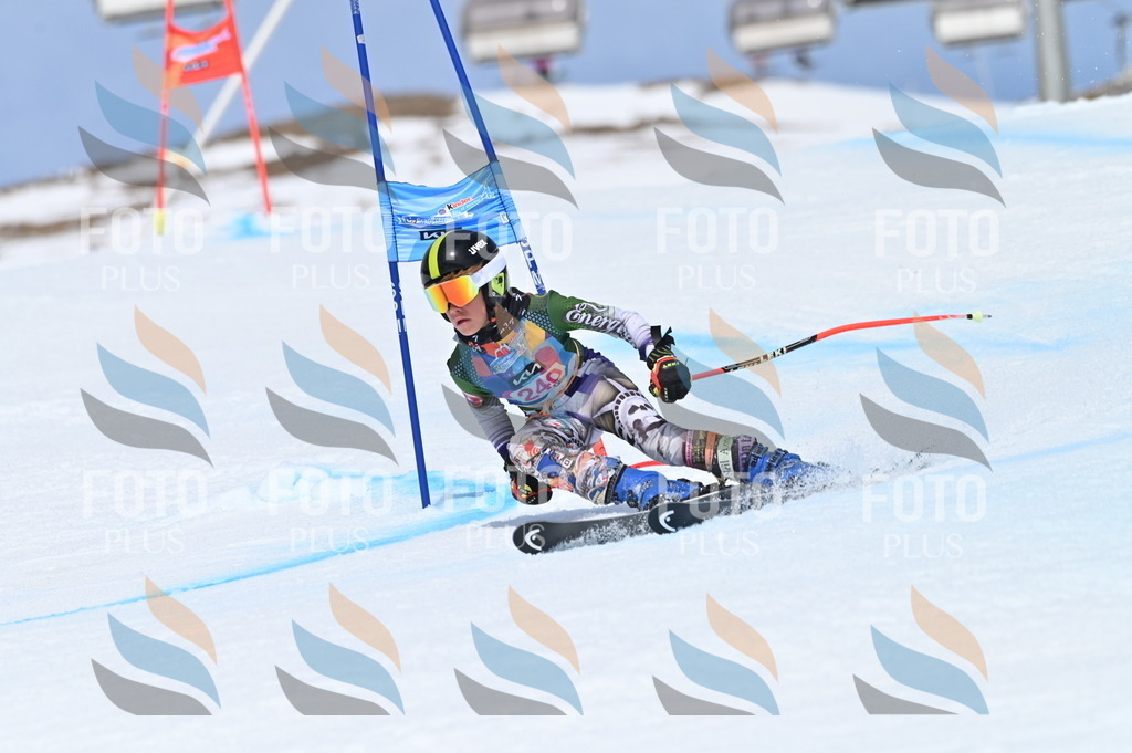 BGV_1702 | holidayphoto