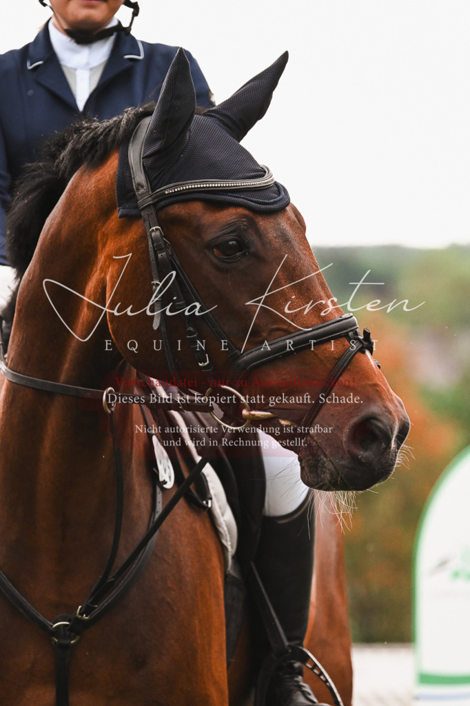 DSC_6697 | Pferde- und Turnierfotografie in Westsachsen. Pferdeportraits, Auftragszeichnungen und intuitive Kunst.