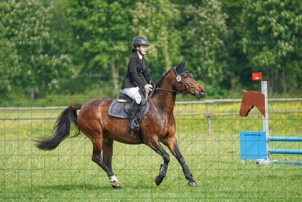 20240509-FAH02215 | Turnierbilder der Turnierfotografen Bayern, Pferdesport Fotografie, Reitsportbilder, Turnier Landberg am Lech, Turnierbilder bayern, Fotoagentur Herrmann