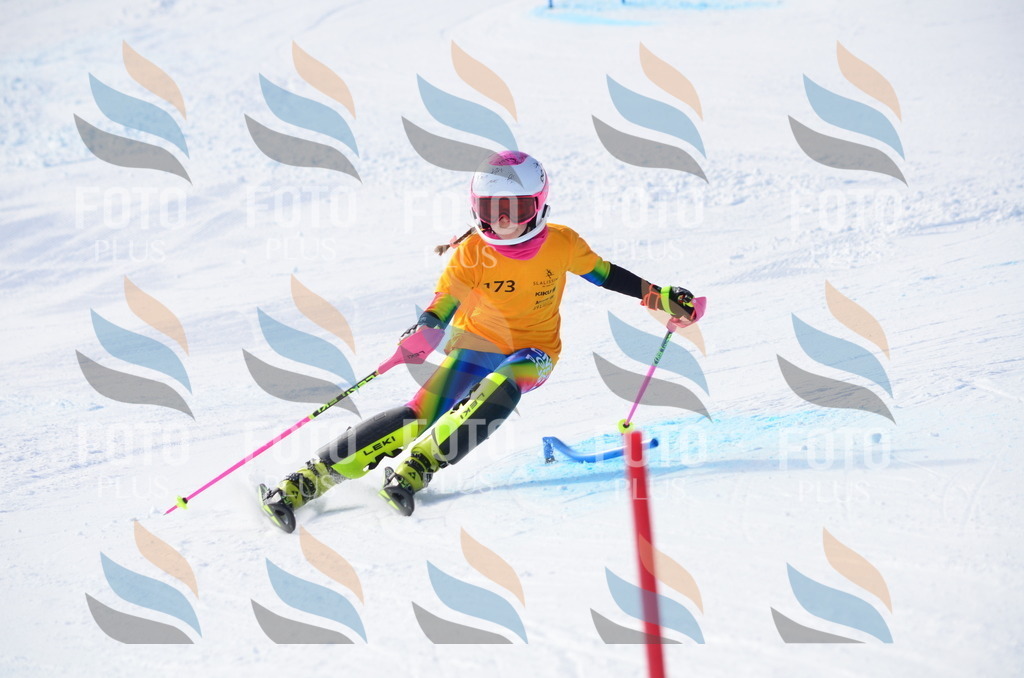 C7924 | holidayphoto