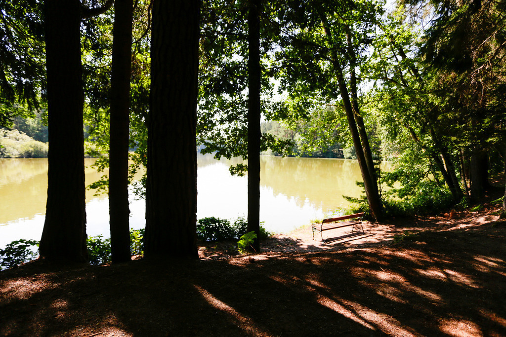 A-WILLDONER_20240727_103-2 | Sport-,  Presse- und Eventbegleitung!
Contact me !
