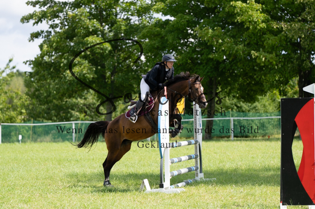 A7V04510 | Pferdefotograf