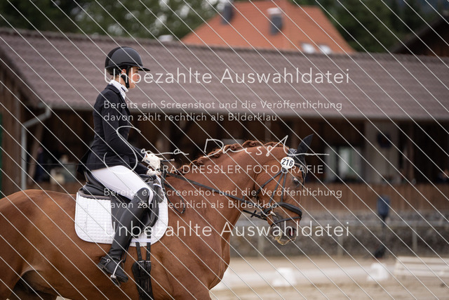 SD_OED_03103 | saradresslerfotografie - Realisiert mit Pictrs.com