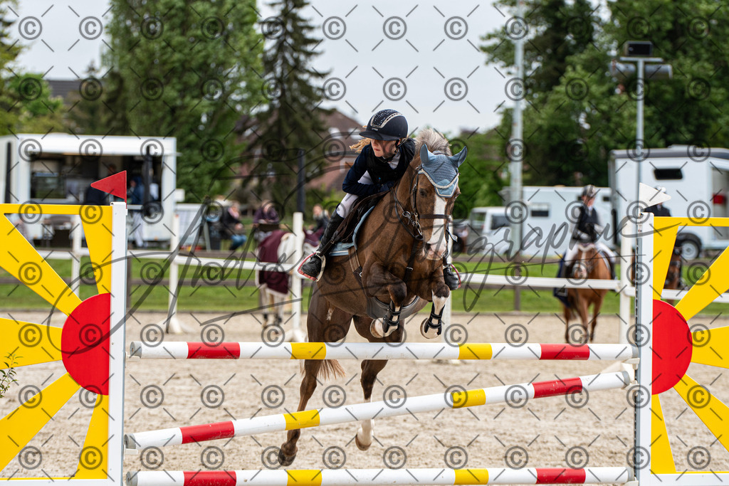 KPT_8077 | andre_photographic