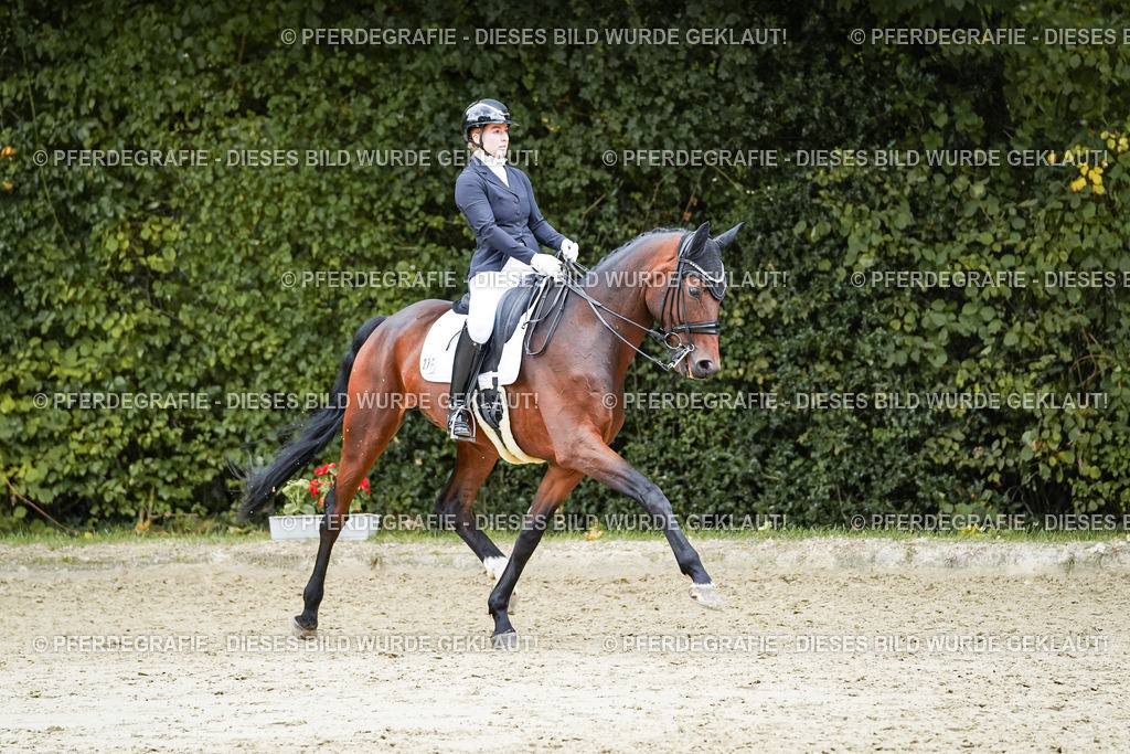 DSC07236 | Pferdegrafie