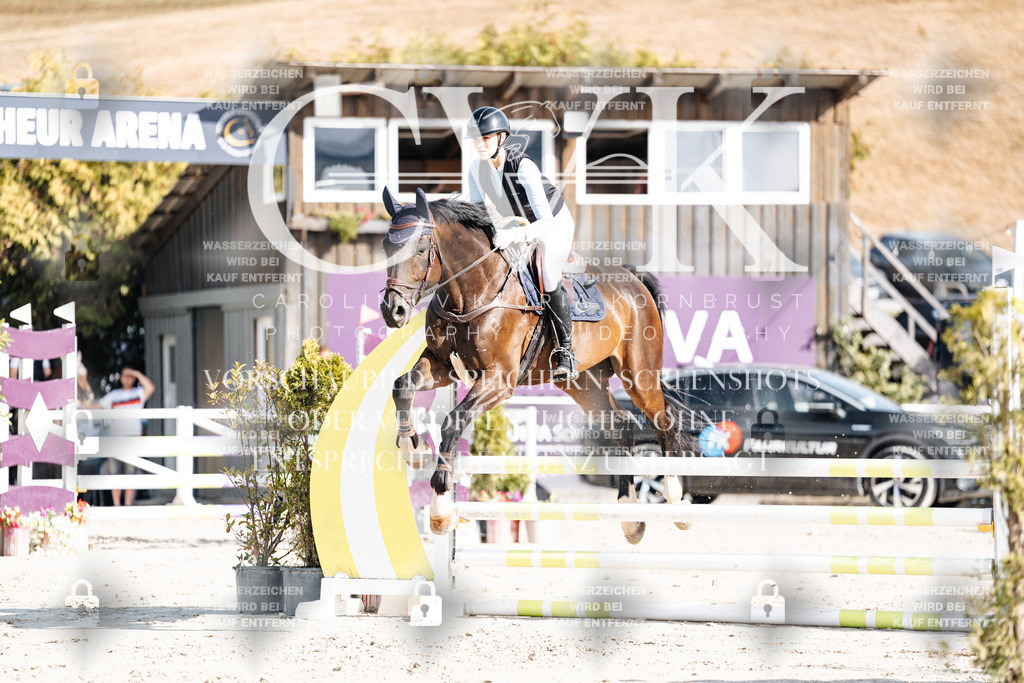 CK909257 | Turnierfotografie Pferdefotografie Trier Rheinland-Pfalz Pferdesport Reitsport Tierfotografie Sportfotografie Pferdevideo Pferdevideografie Equestrianvideography equestrianphotography  - Realisiert mit Pictrs.com
