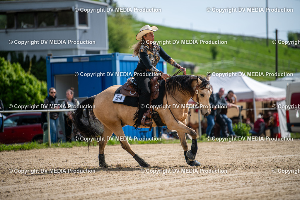 Heiligenwald Tag 3-871 | dv-media-shop - Realisiert mit Pictrs.com