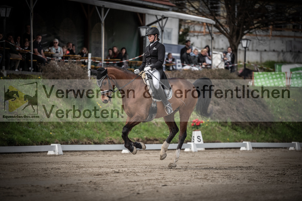 DSC_2201 | equestrian-live-com