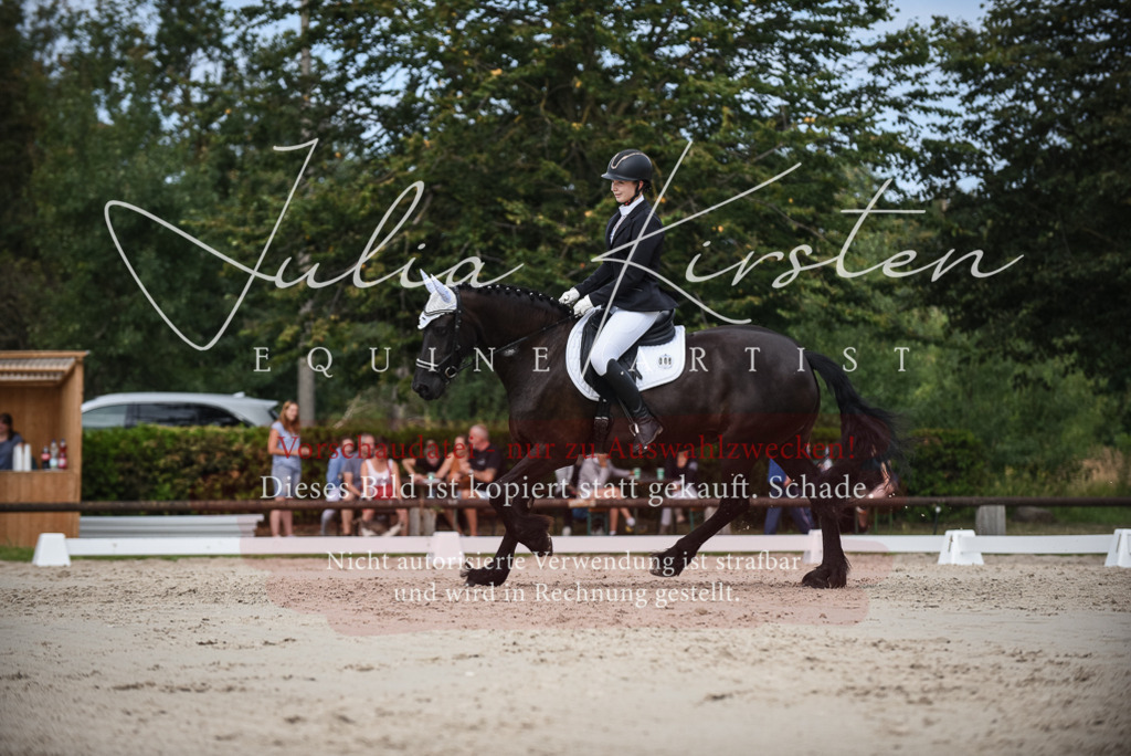 DSC_8609 | Pferde- und Turnierfotografie in Westsachsen. Pferdeportraits, Auftragszeichnungen und intuitive Kunst.