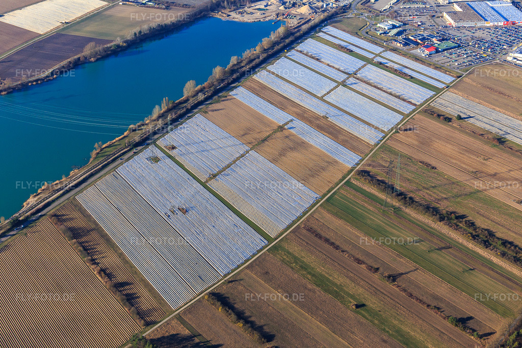 Luftbild: Betonsee im Ortsteil Wiesental in Waghäusel im Bundesland Baden-Württemberg in Deutschland. Foto: IMG_097314.jpg vom 10.03.2017 durch Werner Riehm/FLY-FOTO.de