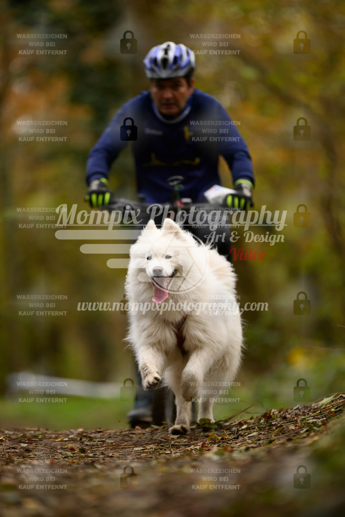 MompixPhotography_Bischwiller24_SA_VTT-94 | PayLife