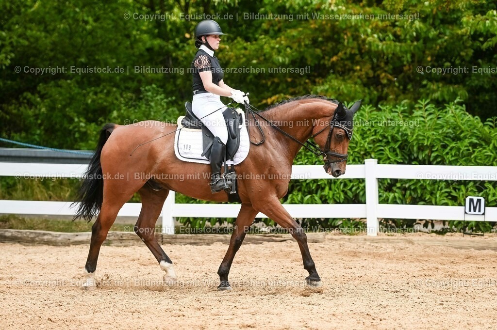 20230715_05_Dressurprüfung Kl.A++_0317 | equistock