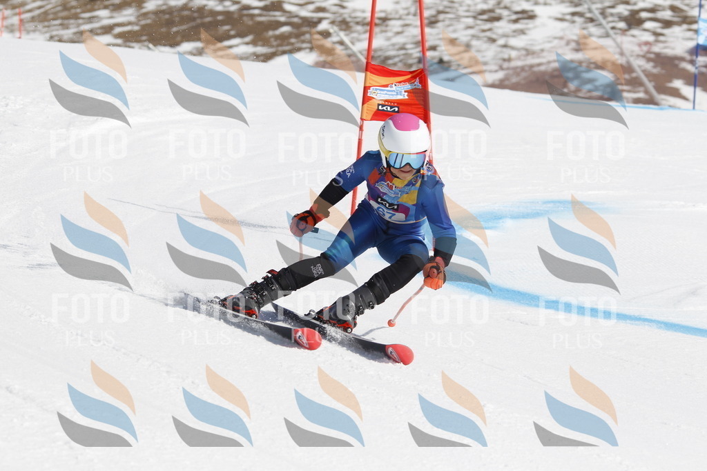 _U3G9760 | holidayphoto