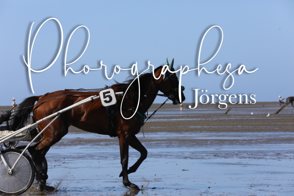 IMG_0395 | photographesa-joergens - Realisiert mit Pictrs.com