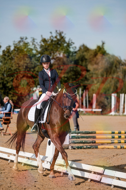 2026_10_03_Siefer-Hof_114751_Z63_27214977 | Professionelle Reitsport-, Turnier- und Eventfotografie von Robert Broda. Galerien mit ausgewählten und bearbeiteten Bildern direkt online ansehen und bestellen.
