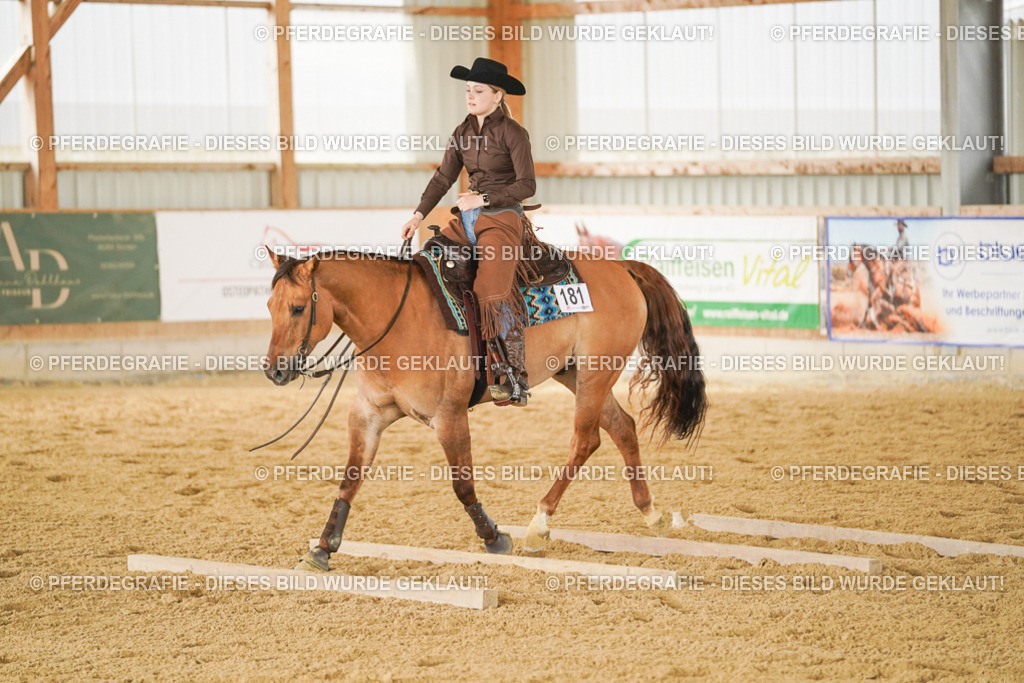 DSC04693 | Pferdegrafie