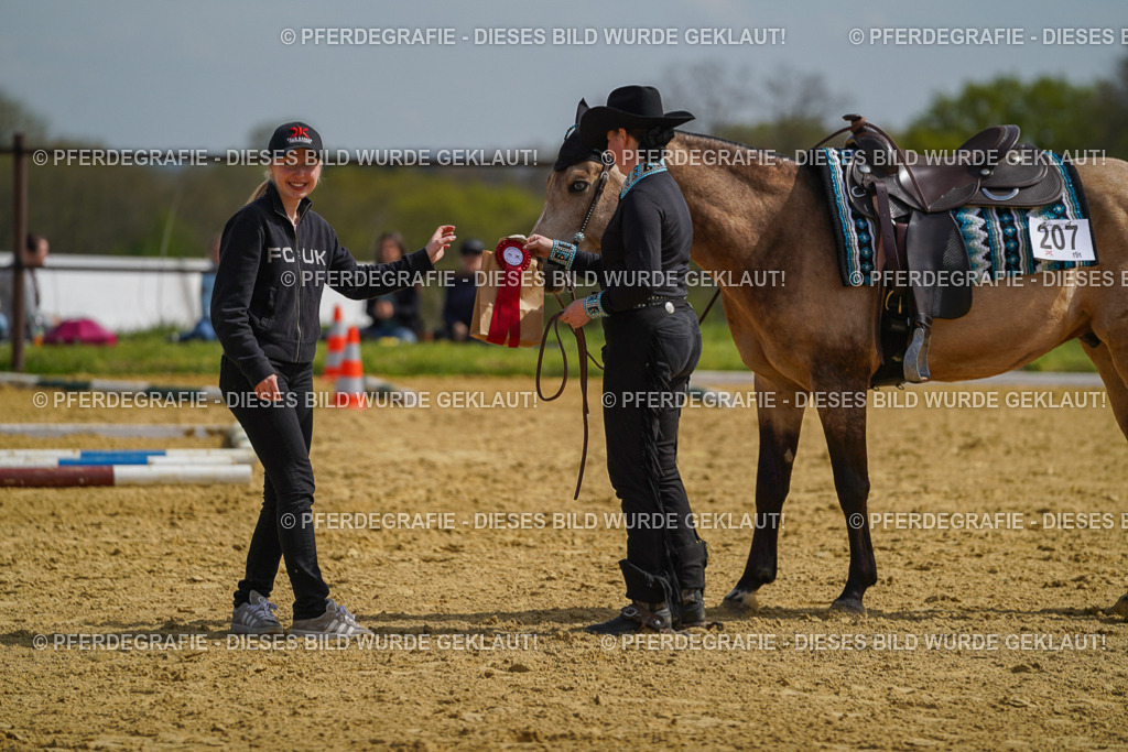 DSC04255 | Pferdegrafie