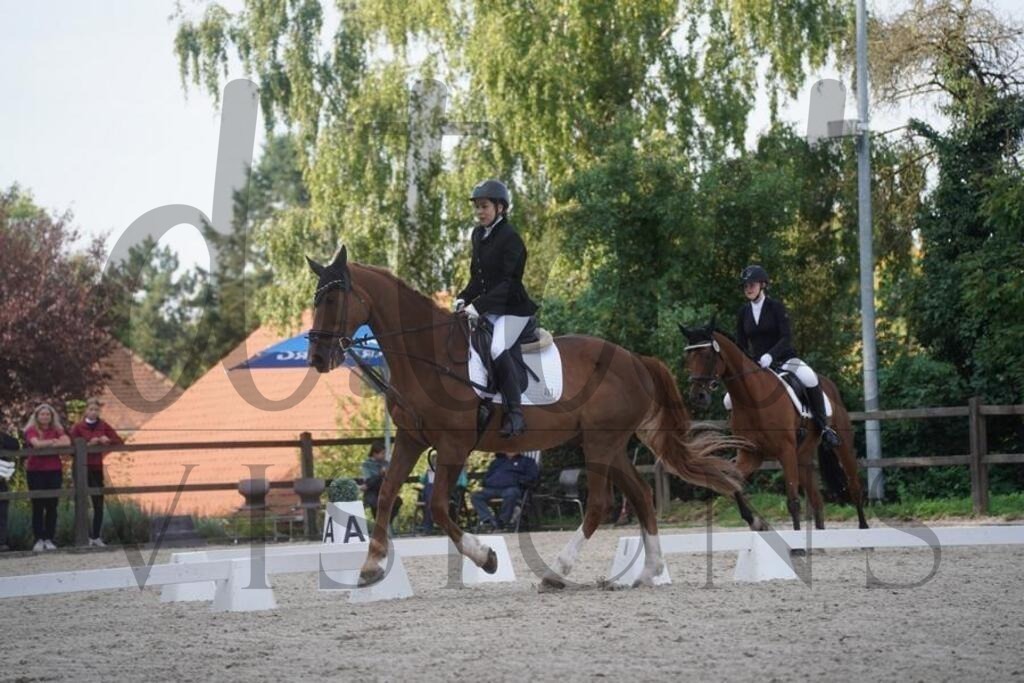 tgbhsamstag (459) | d.tail Visions - Shop - Realisiert mit Pictrs.com